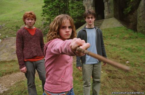 11 суровых реалий о мире «Гарри Поттера»